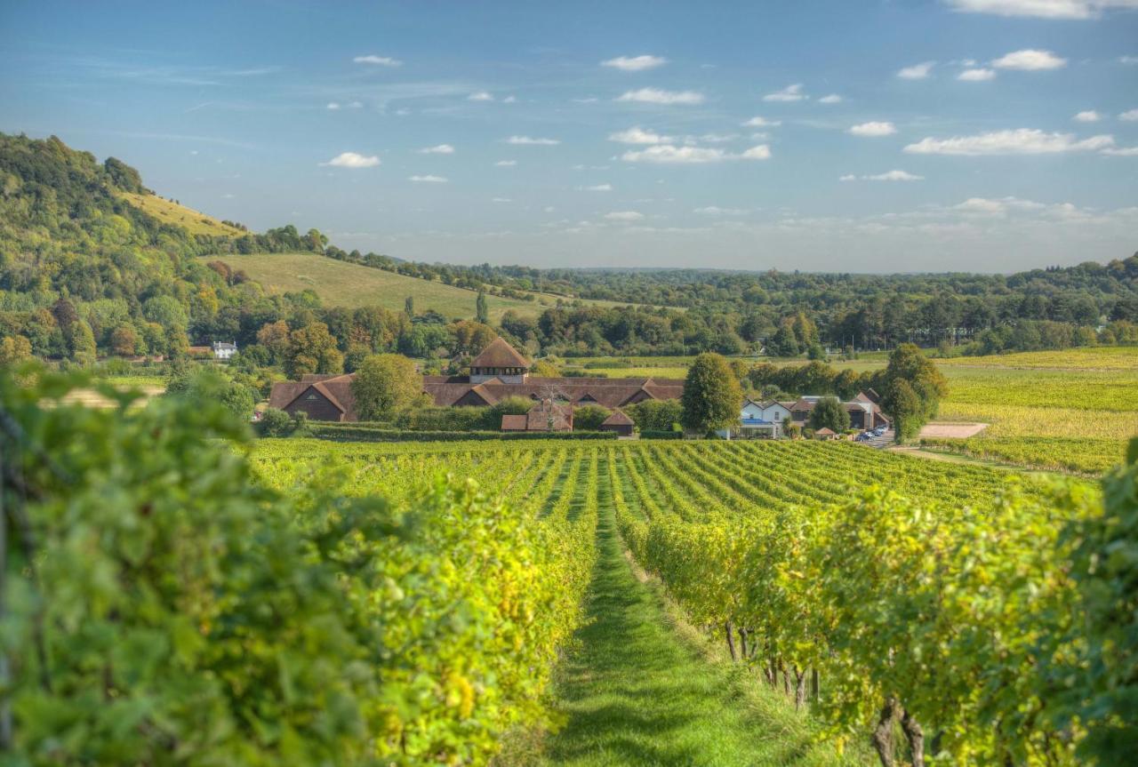 Denbies Vineyard Hotel Dorking Exterior photo